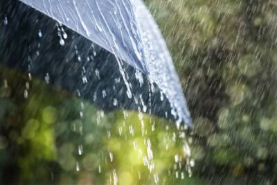pioggia meteo ombrello