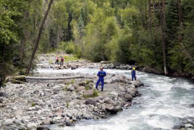 team, squadra di ricerca persona scomparsa