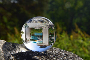 Sfera di vetro natura ecologia