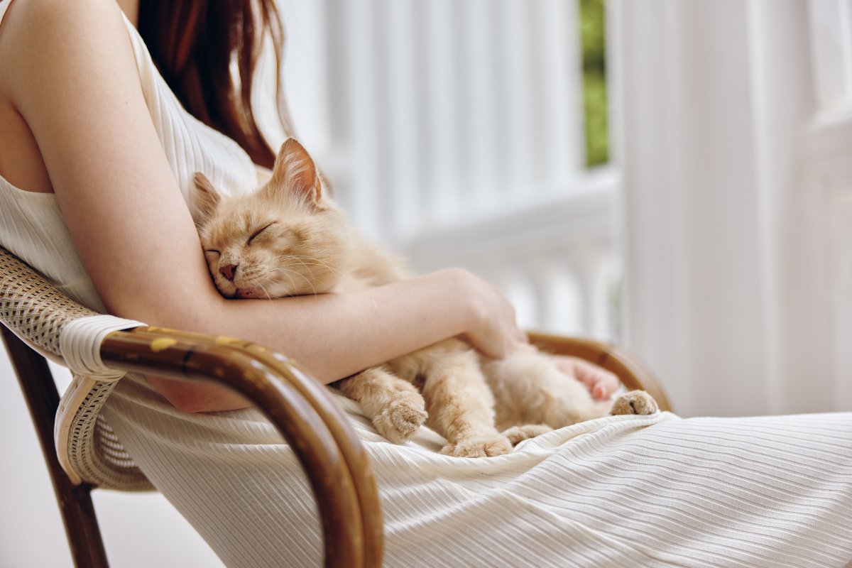 Un gattino rosso che dorme serenamente sul grembo di una ragazza.